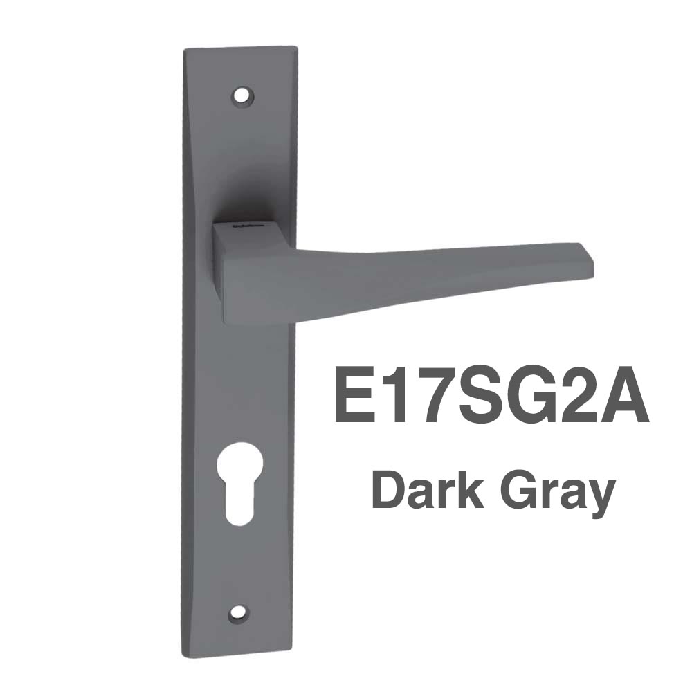 E17SG2A