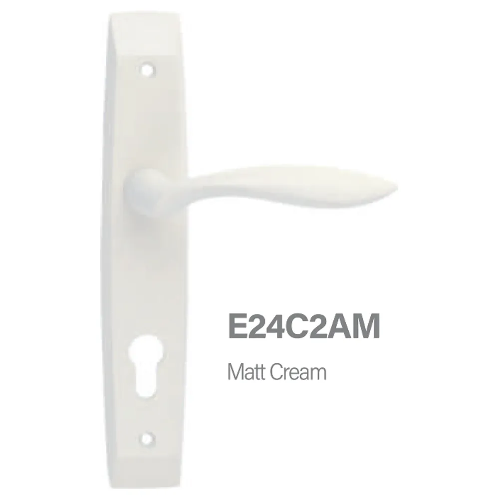 E24C2AM